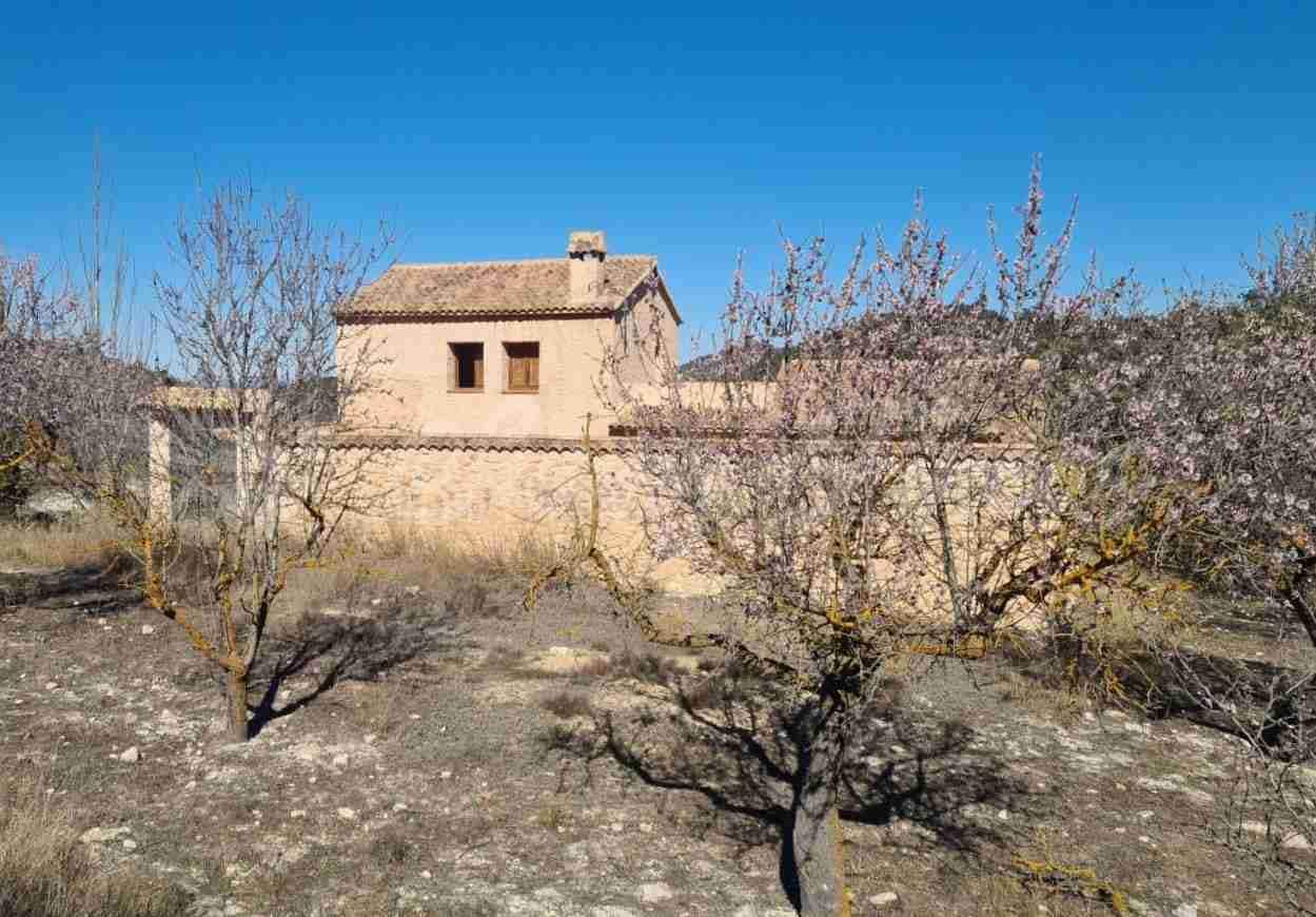 4 sypialnia Finka/Dom wiejski na sprzedaż w Biar - 198 000 € (Ref: 8141213)