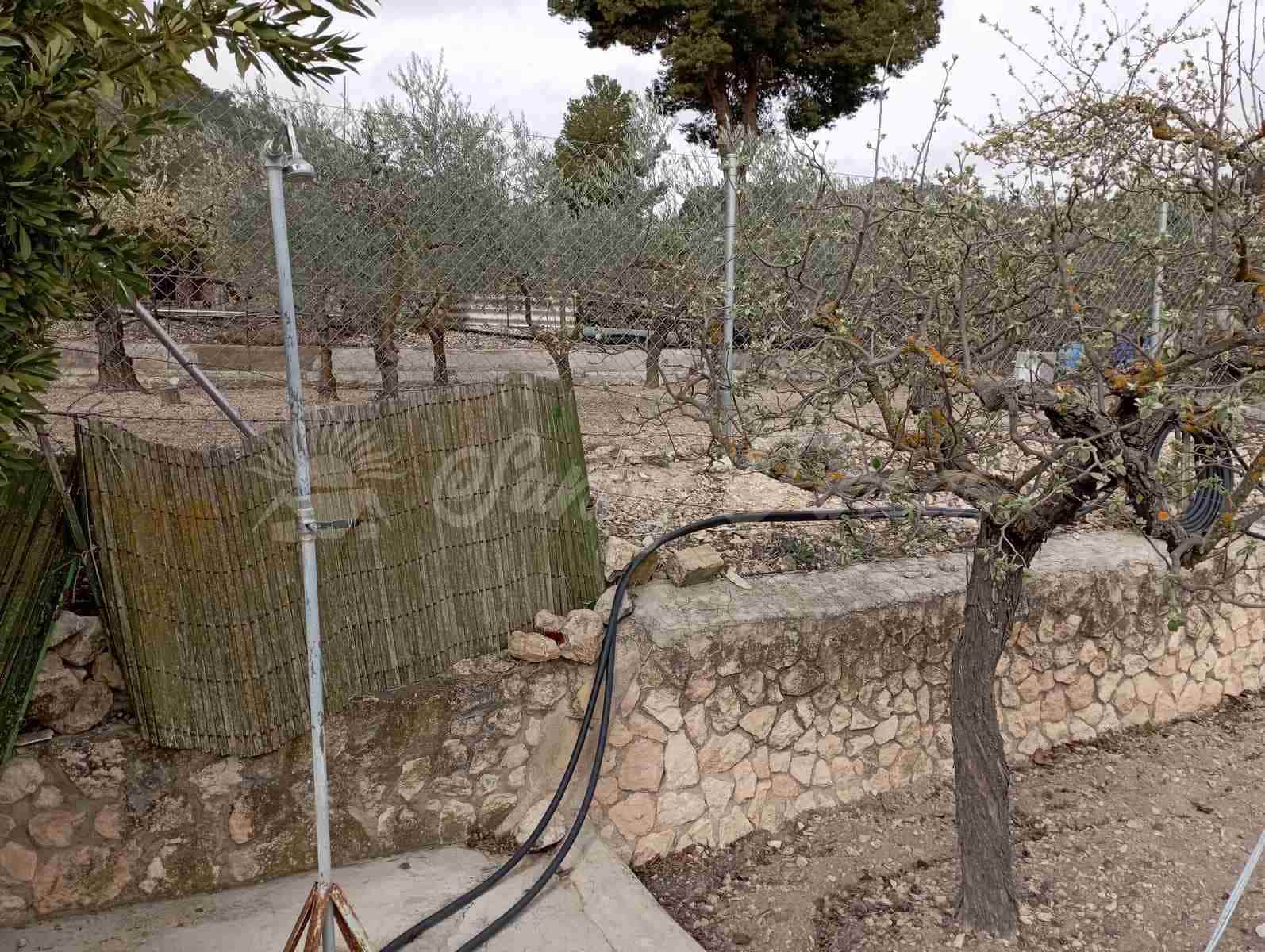 6 bedroom Finca/Country House for sale in Yecla with pool garage - € 199,000 (Ref: 8176037)