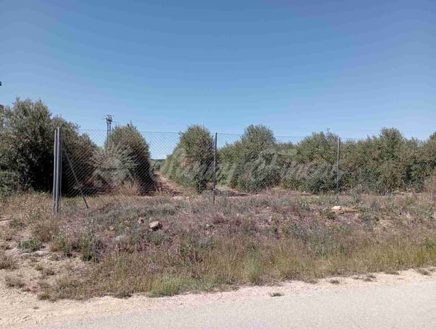 Building Plot for sale in Caudete - € 38,000 (Ref: 8312678)