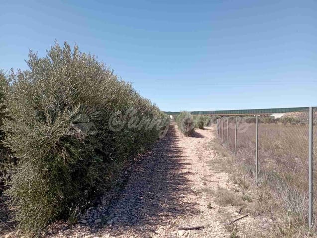 Building Plot for sale in Caudete - € 38,000 (Ref: 8312678)