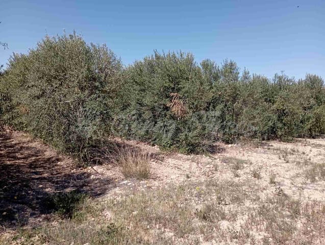 Building Plot for sale in Caudete - € 38,000 (Ref: 8312678)