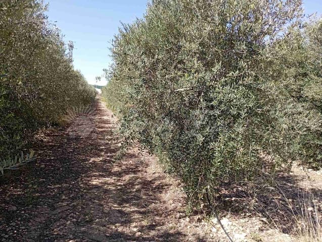 Building Plot for sale in Caudete - € 38,000 (Ref: 8312678)