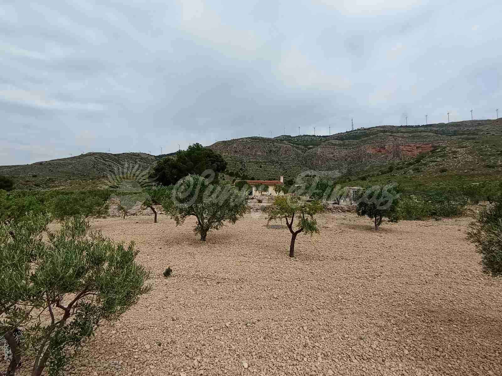 2 bedroom Finca/Country House for sale in Caudete - € 58,000 (Ref: 8406151)