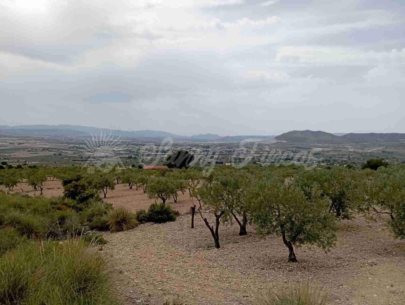 2 bedroom Finca/Country House for sale in Caudete - € 58,000 (Ref: 8406151)