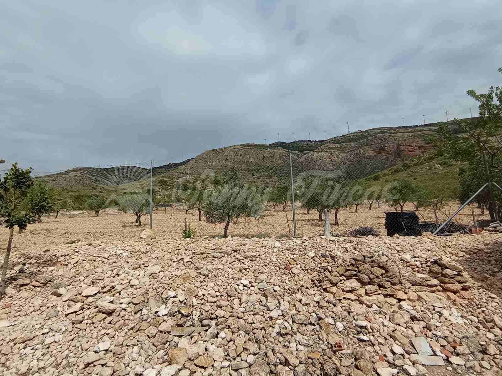 2 bedroom Finca/Country House for sale in Caudete - € 58,000 (Ref: 8406151)