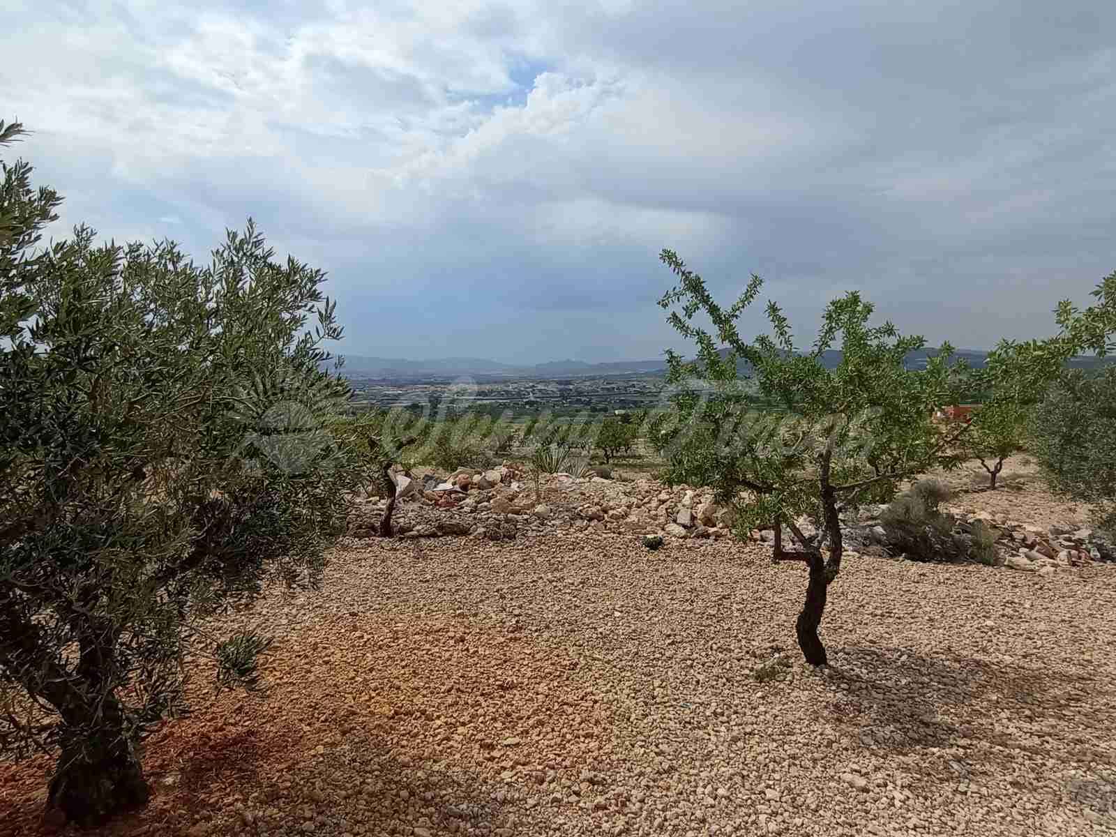 2 bedroom Finca/Country House for sale in Caudete - € 58,000 (Ref: 8406151)