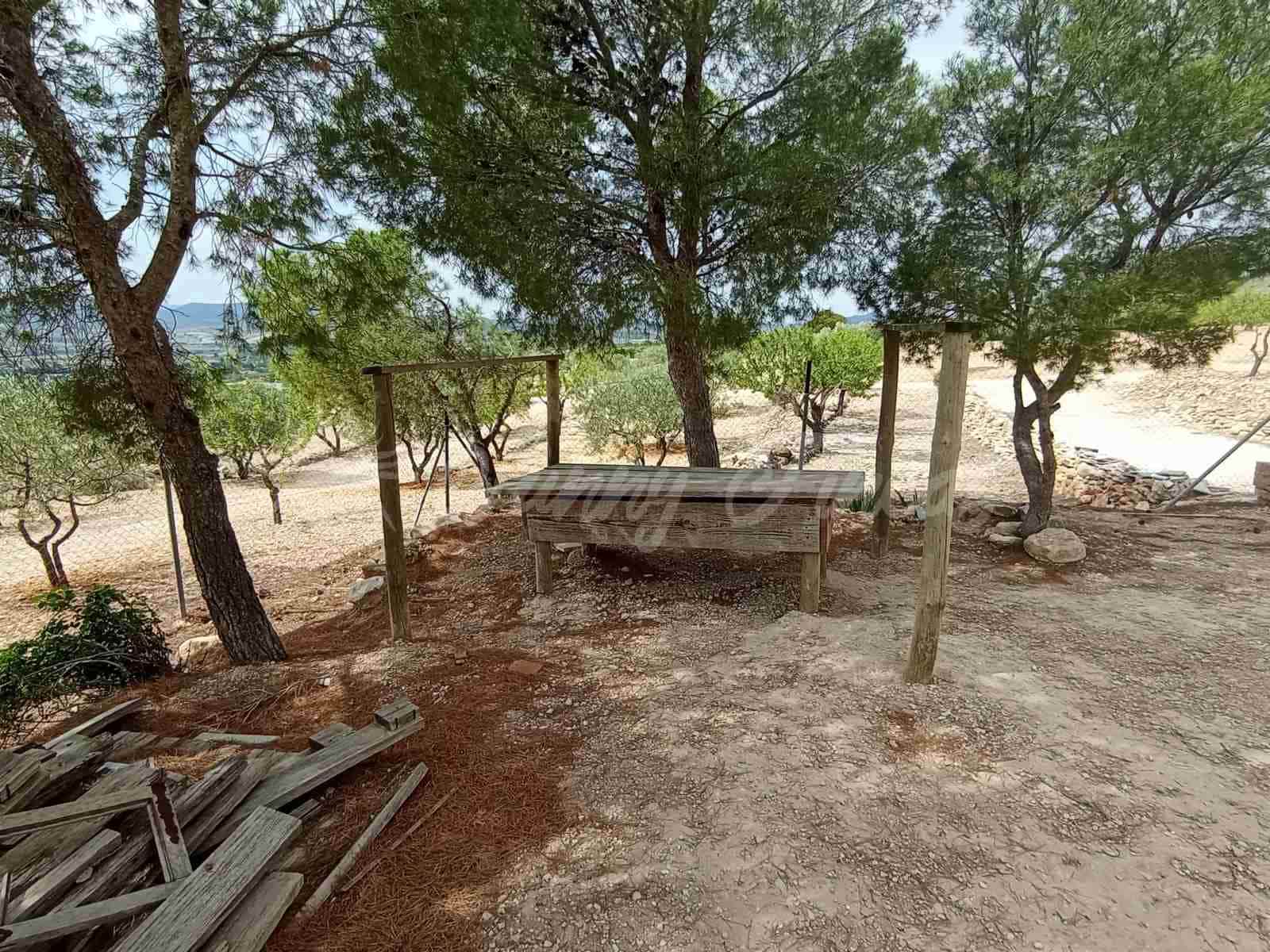 2 bedroom Finca/Country House for sale in Caudete - € 58,000 (Ref: 8406151)