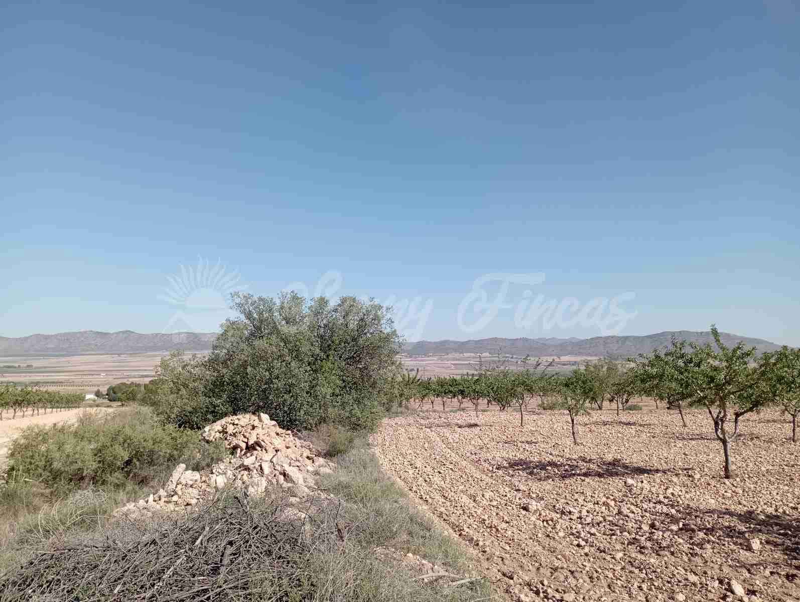 Grunde uden byggetilladelser til salg i Yecla - € 300.000 (Ref: 8499640)