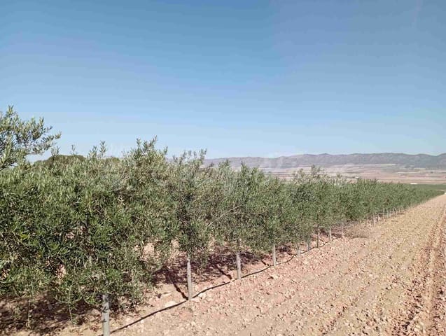 Mark till salu i Yecla - 300 000 € (Ref: 8499640)