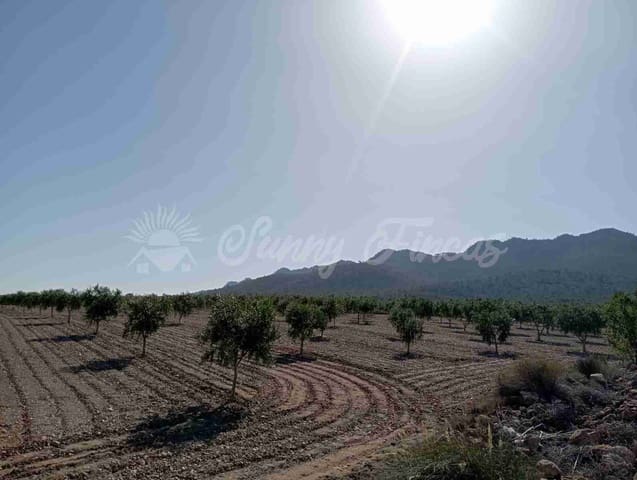 Mark till salu i Yecla - 300 000 € (Ref: 8499640)