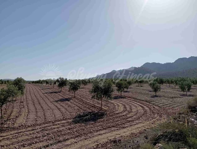 Mark till salu i Yecla - 300 000 € (Ref: 8499640)