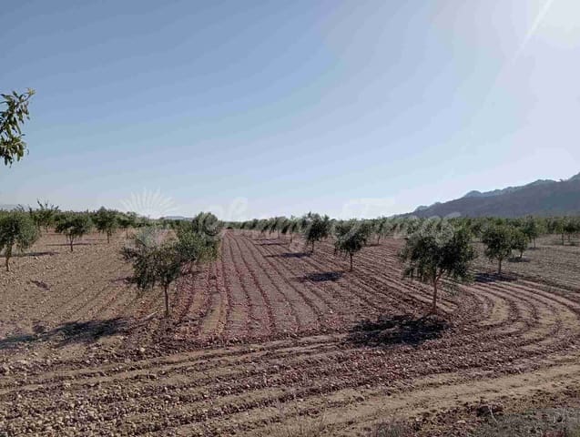 Mark till salu i Yecla - 300 000 € (Ref: 8499640)