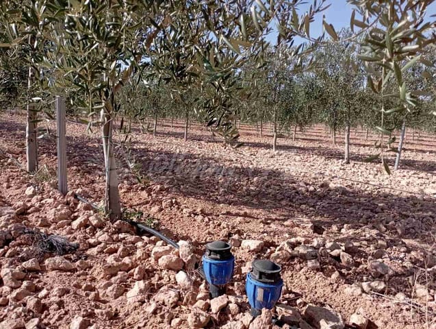 Mark till salu i Yecla - 300 000 € (Ref: 8499640)