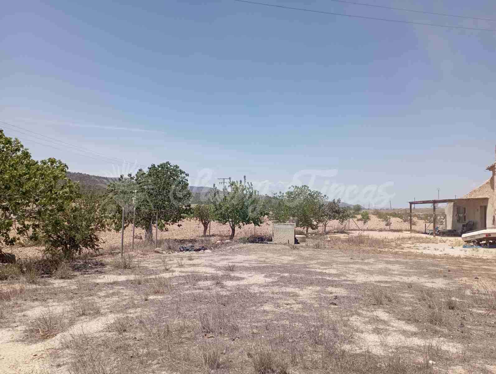 6 quarto Quinta/Casa Rural para venda em Monovar / Monover com garagem - 115 000 € (Ref: 8508078)