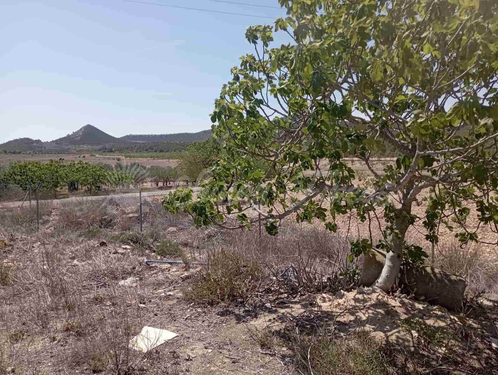 6 quarto Quinta/Casa Rural para venda em Monovar / Monover com garagem - 115 000 € (Ref: 8508078)