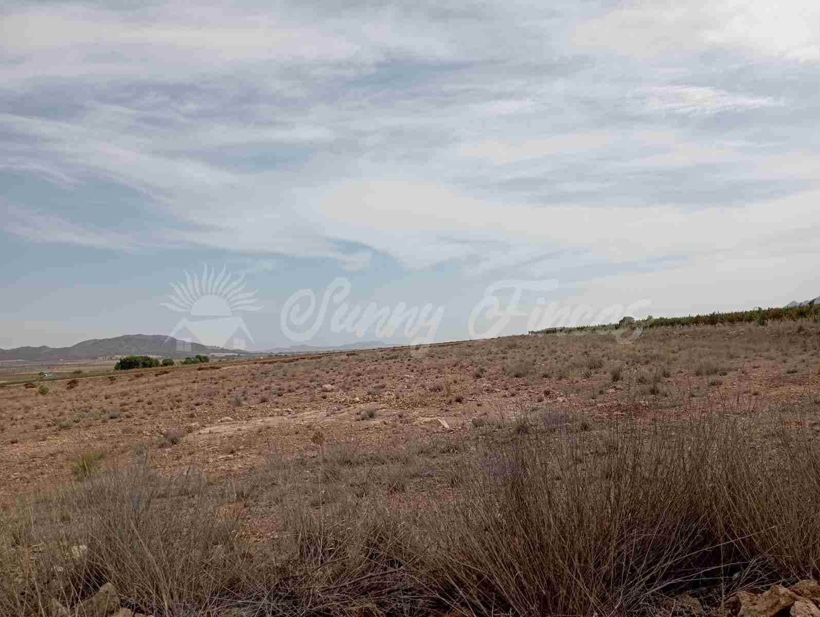 Grond te koop in Yecla - € 350.000 (Ref: 8524348)