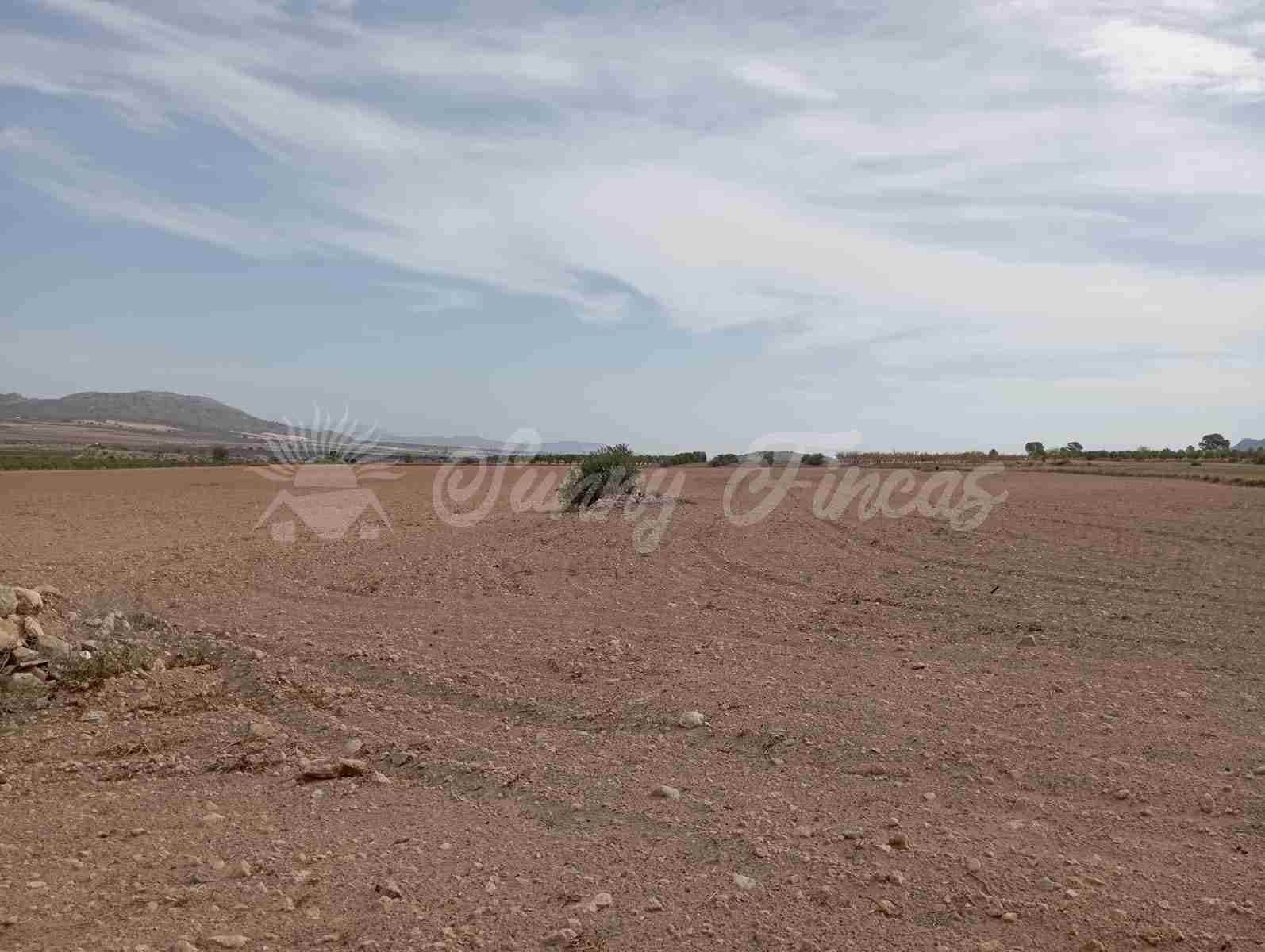 Grond te koop in Yecla - € 350.000 (Ref: 8524348)