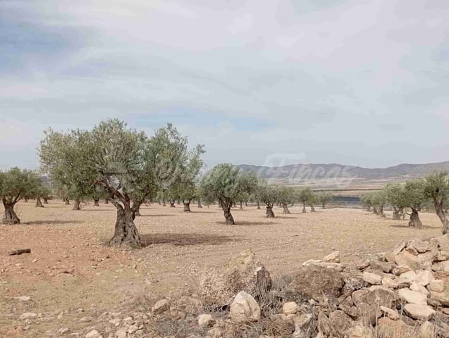 Grond te koop in Yecla - € 350.000 (Ref: 8524348)