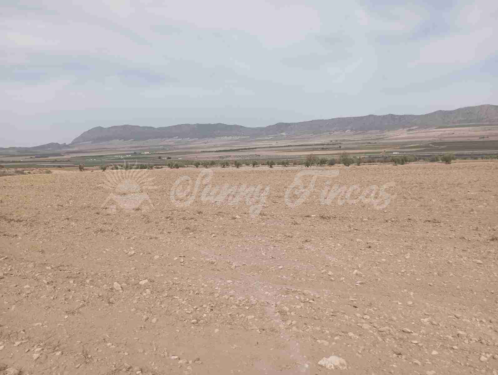 Grond te koop in Yecla - € 350.000 (Ref: 8524348)