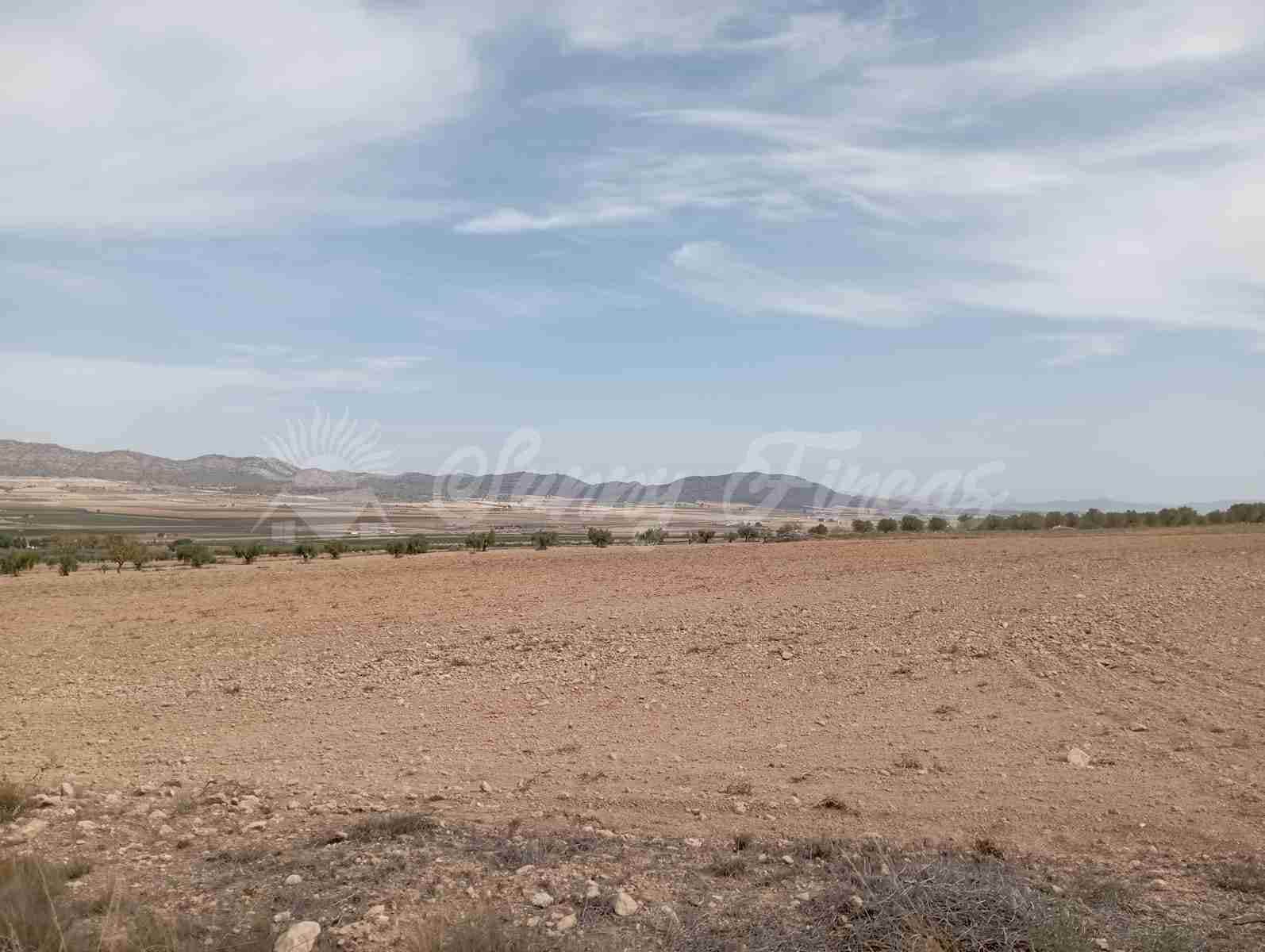 Grond te koop in Yecla - € 350.000 (Ref: 8524348)