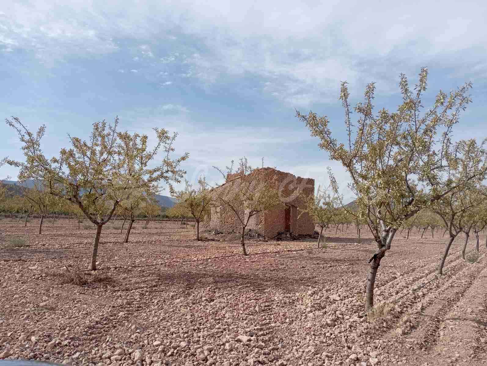 Grond te koop in Yecla - € 350.000 (Ref: 8524348)