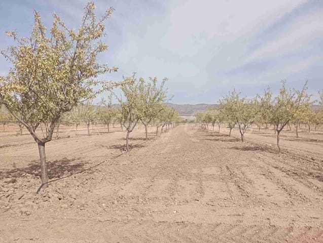 Grond te koop in Yecla - € 350.000 (Ref: 8524348)