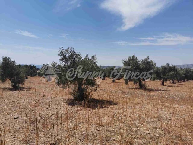 Tomt till salu i Biar - 27 500 € (Ref: 8524792)