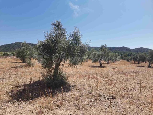 Tomt till salu i Biar - 27 500 € (Ref: 8524792)