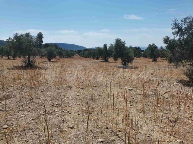 Tomt till salu i Biar - 27 500 € (Ref: 8524792)