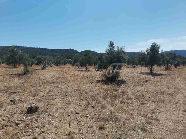 Tomt till salu i Biar - 27 500 € (Ref: 8524793)