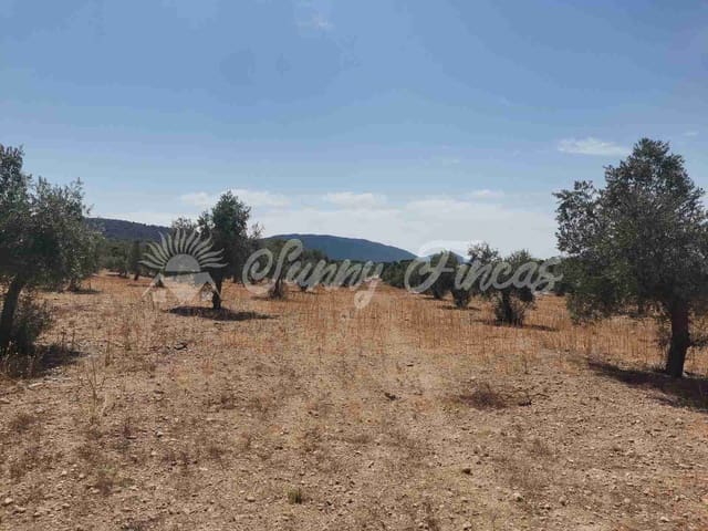 Tomt till salu i Biar - 27 500 € (Ref: 8524793)