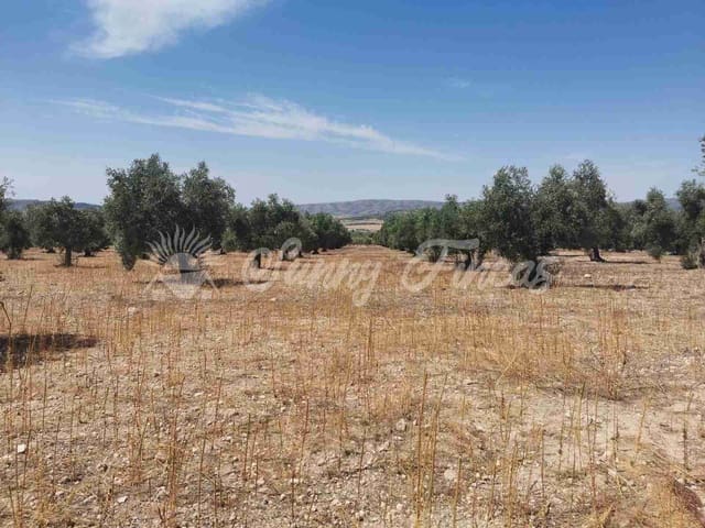 Tomt till salu i Biar - 27 500 € (Ref: 8524793)