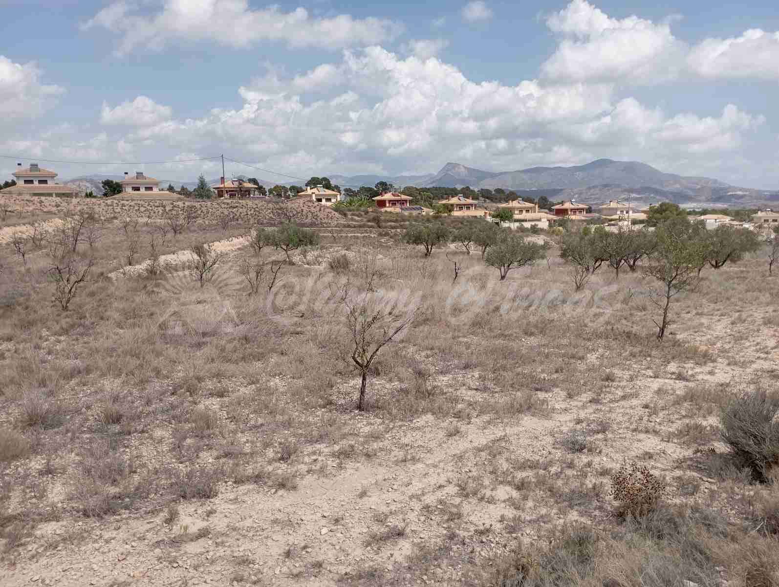 Byggetomt til salgs i Monovar / Monover - € 69 995 (Ref: 8558879)