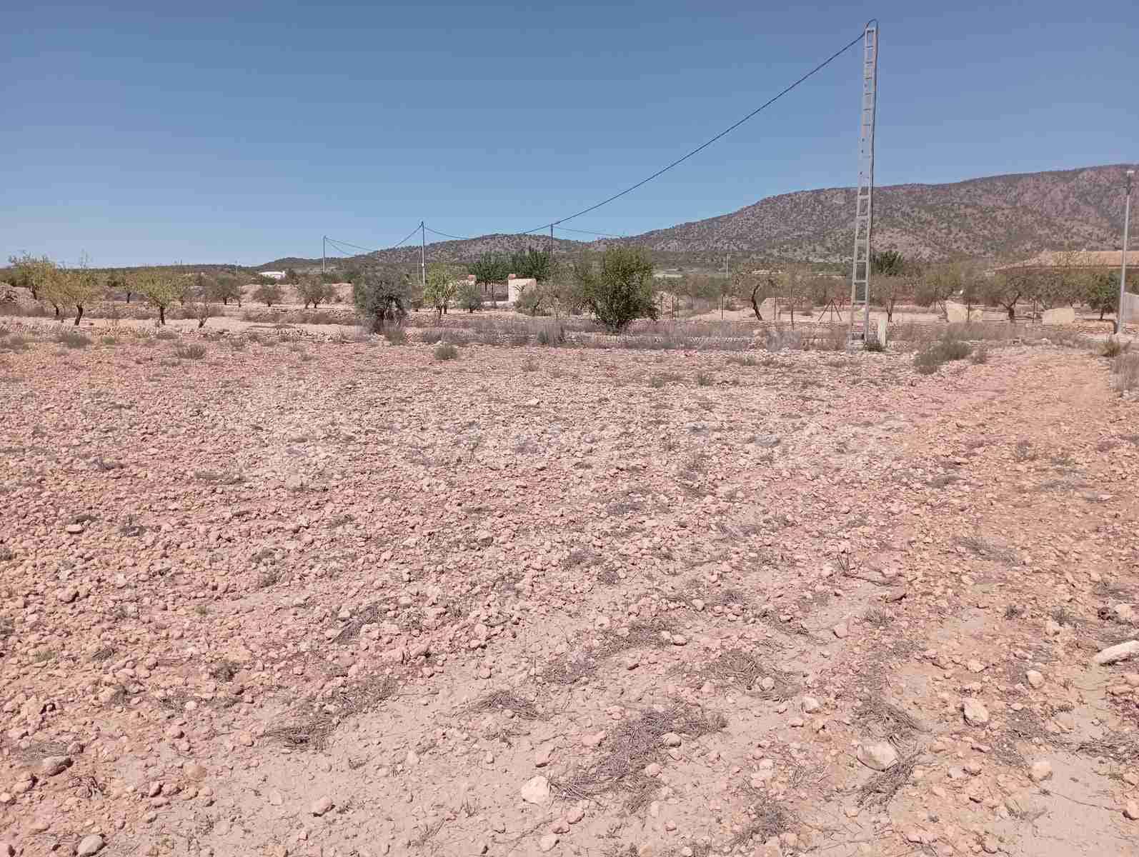 Byggegrund til salg i Lel - € 39.000 (Ref: 8586656)