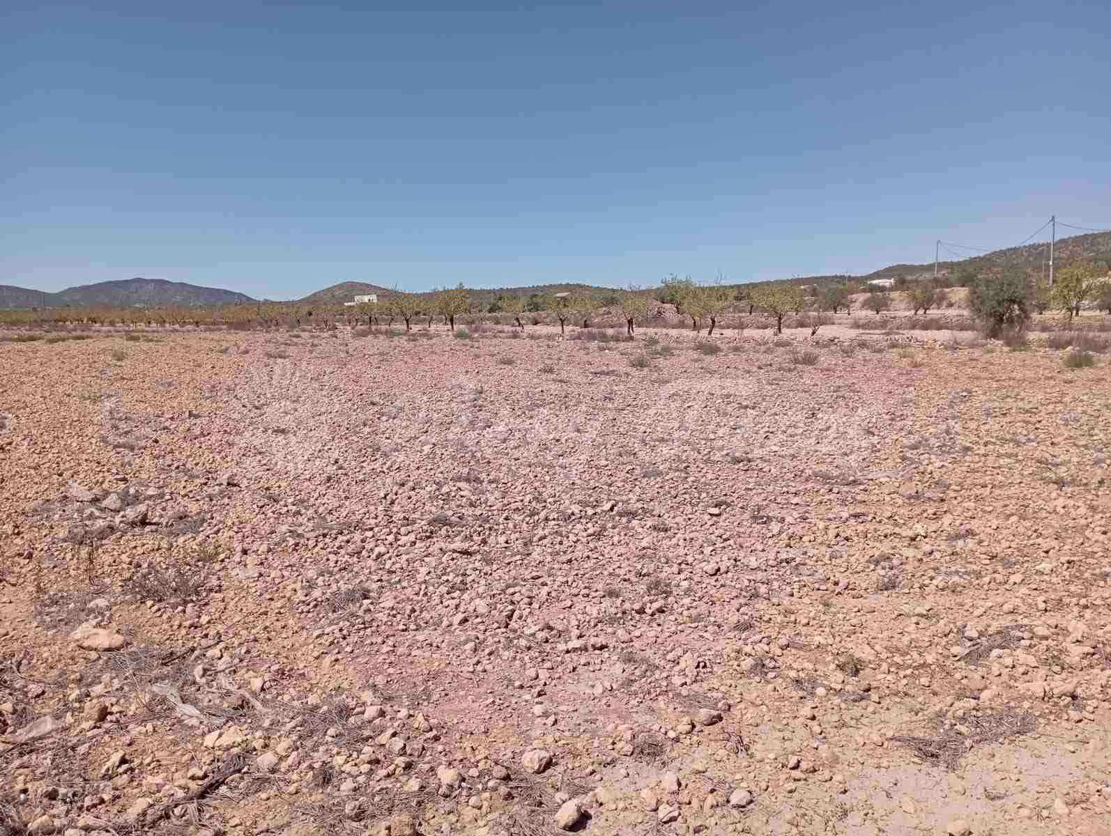 Byggegrund til salg i Lel - € 39.000 (Ref: 8586656)