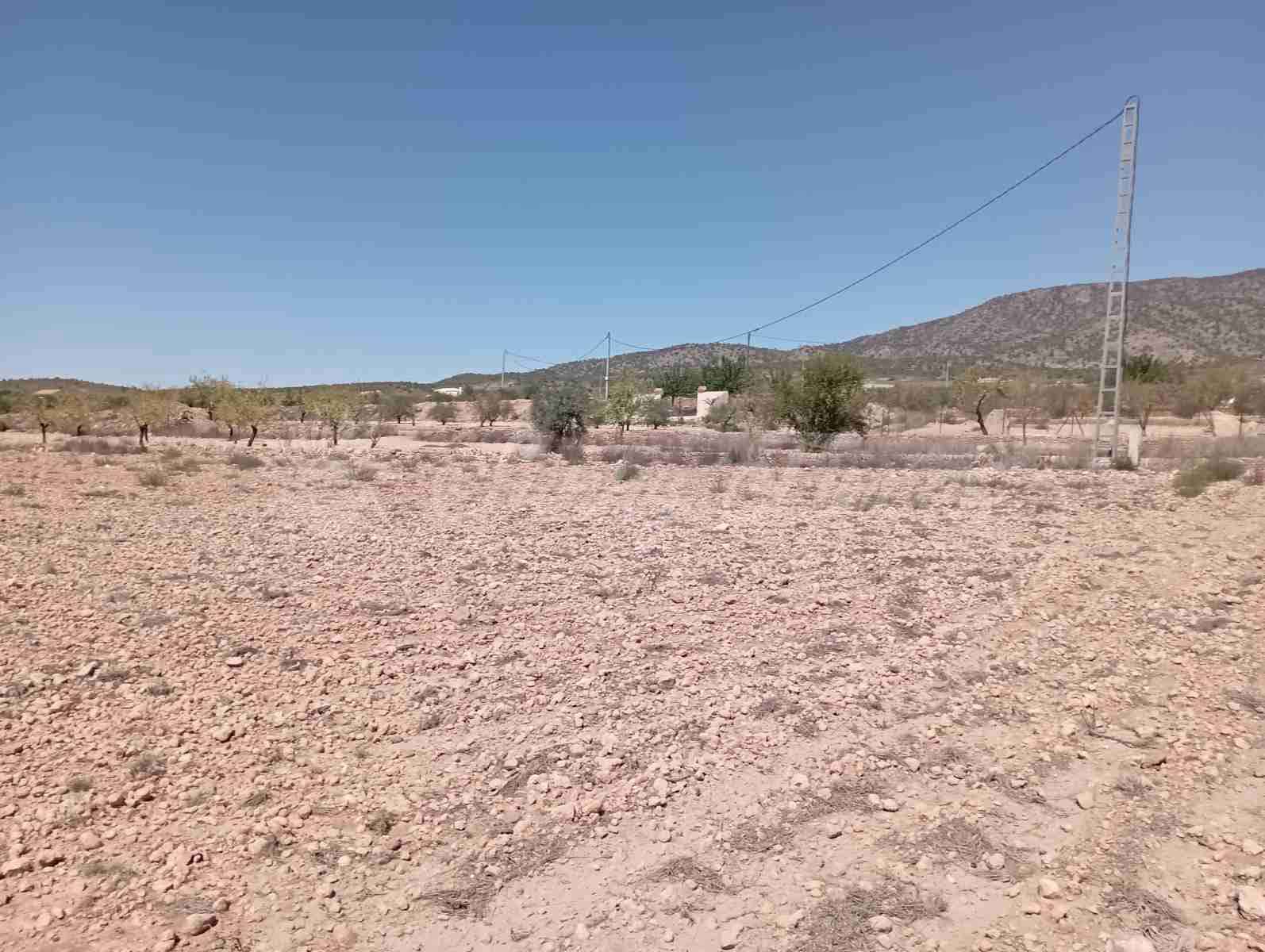 Byggegrund til salg i Lel - € 39.000 (Ref: 8586656)