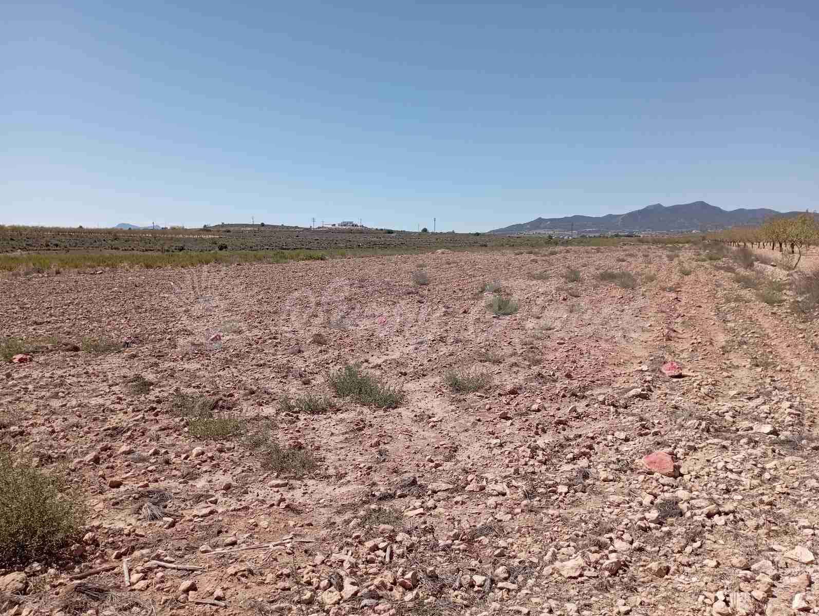 Byggegrund til salg i Lel - € 39.000 (Ref: 8586656)