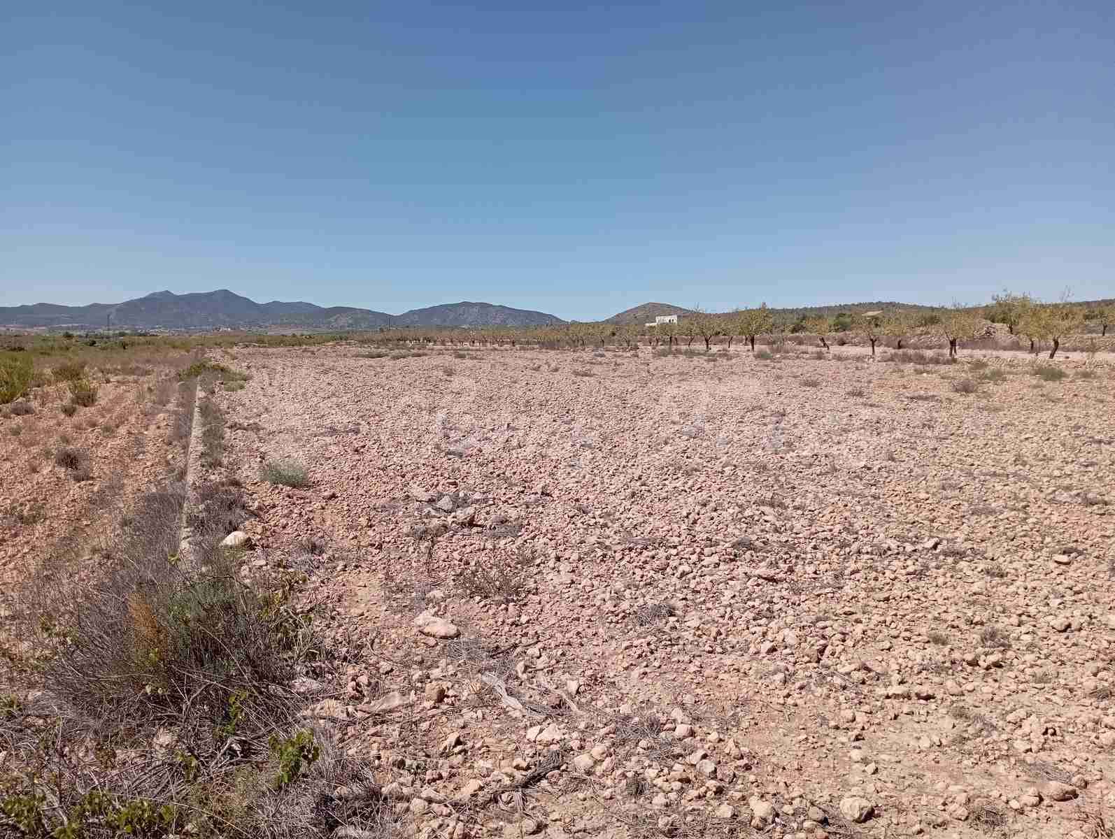 Byggegrund til salg i Lel - € 39.000 (Ref: 8586656)