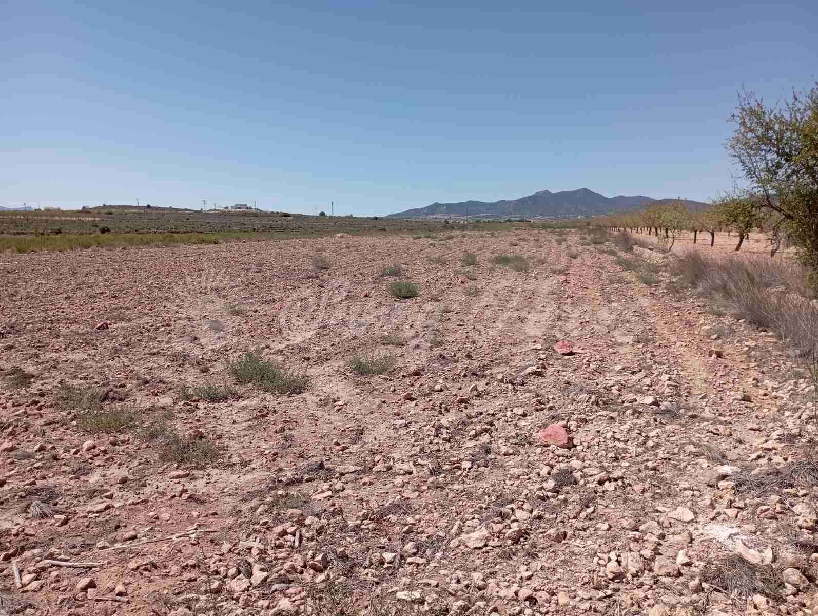 Byggegrund til salg i Lel - € 39.000 (Ref: 8586656)