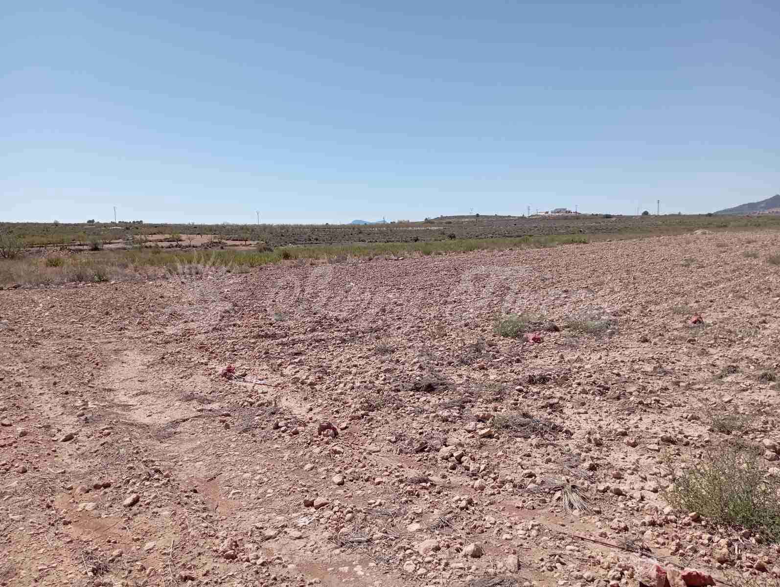 Byggegrund til salg i Lel - € 39.000 (Ref: 8586656)