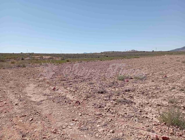 Bouwgrond te koop in Lel, Pinoso - € 39.000 (Ref: 8586656)