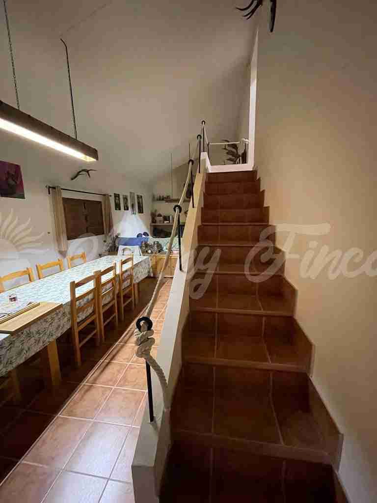 5 soveværelse Finca/Landehus til salg i Almansa - € 560.000 (Ref: 8586659)