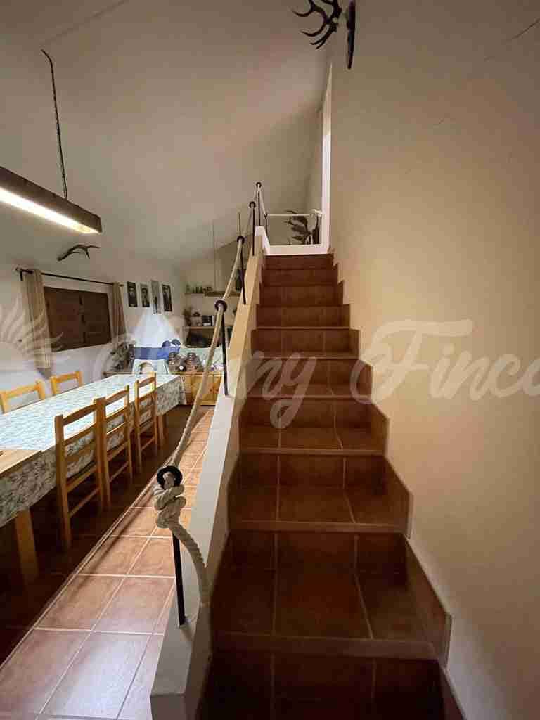 5 soveværelse Finca/Landehus til salg i Almansa - € 560.000 (Ref: 8586659)