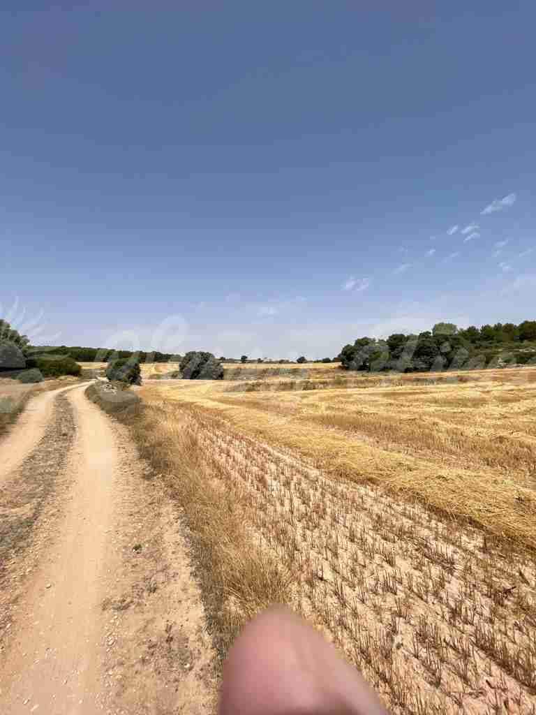 5 soveværelse Finca/Landehus til salg i Almansa - € 560.000 (Ref: 8586659)