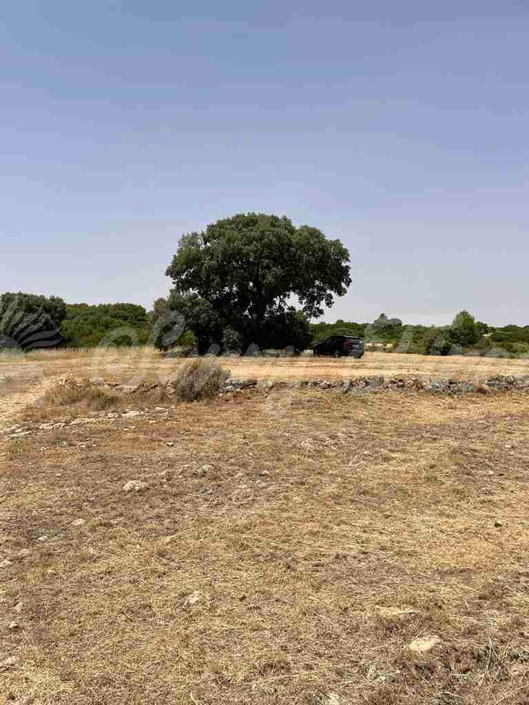 5 soveværelse Finca/Landehus til salg i Almansa - € 560.000 (Ref: 8586659)