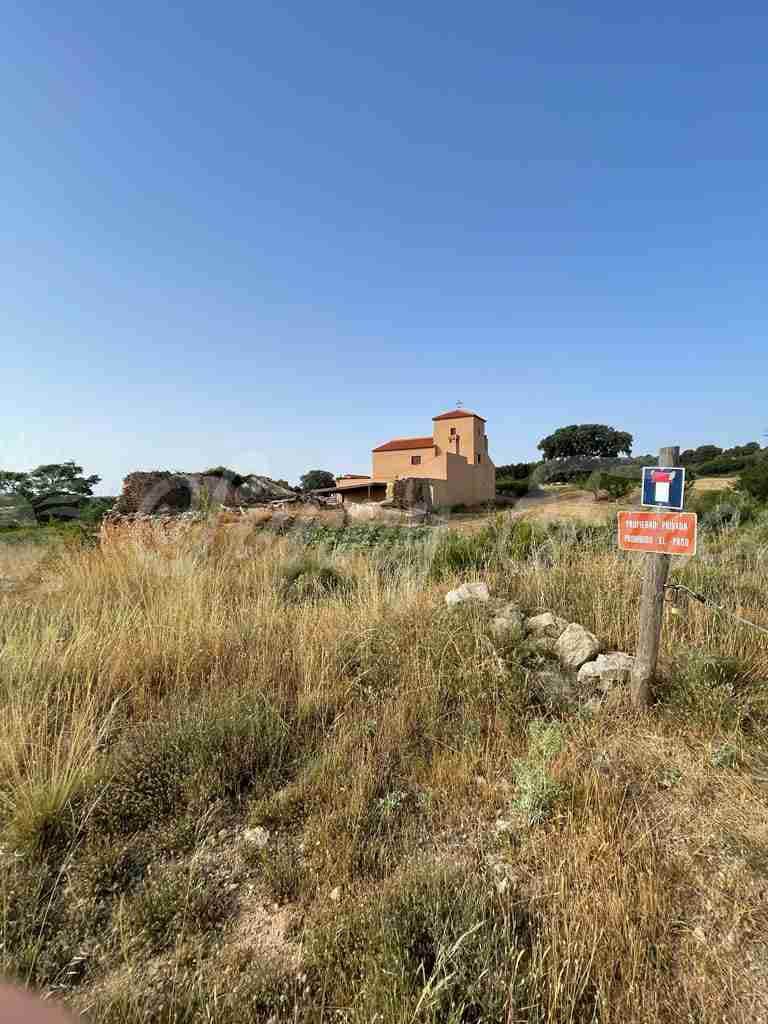 5 soveværelse Finca/Landehus til salg i Almansa - € 560.000 (Ref: 8586659)