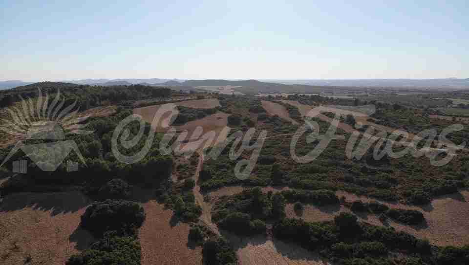 5 soveværelse Finca/Landehus til salg i Almansa - € 560.000 (Ref: 8586659)