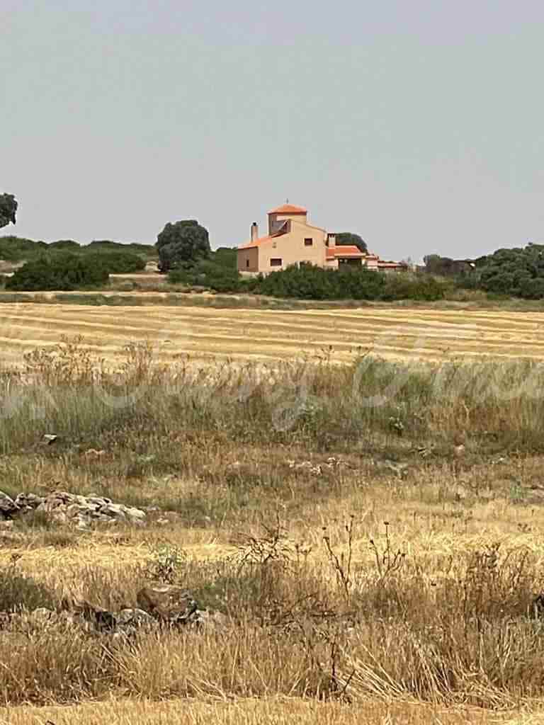 5 soveværelse Finca/Landehus til salg i Almansa - € 560.000 (Ref: 8586659)