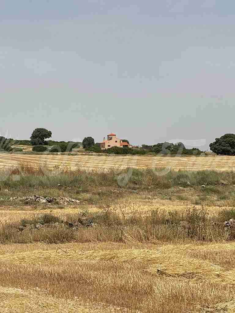 5 soveværelse Finca/Landehus til salg i Almansa - € 560.000 (Ref: 8586659)