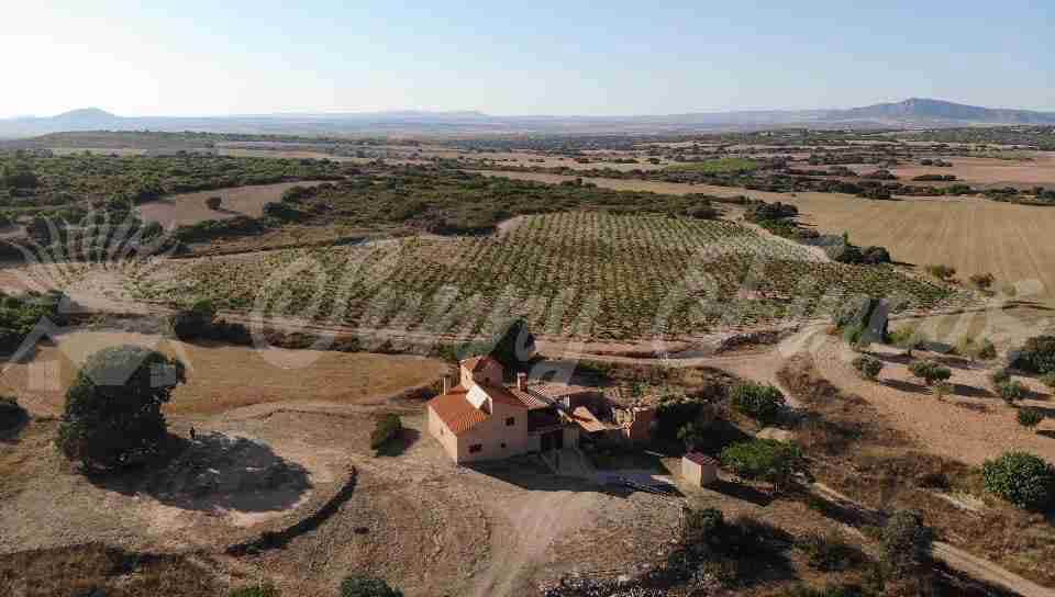 5 soveværelse Finca/Landehus til salg i Almansa - € 560.000 (Ref: 8586659)